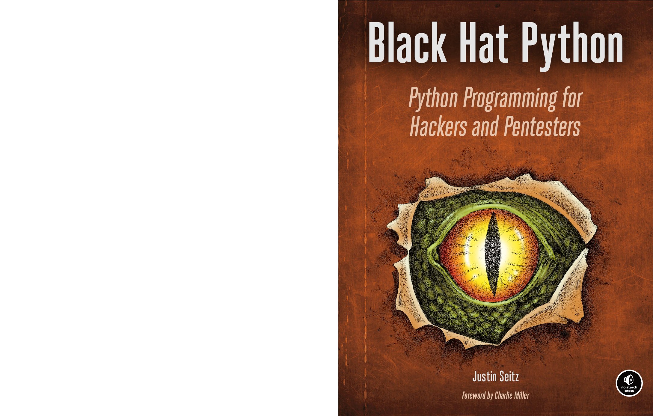 Black Hat Python